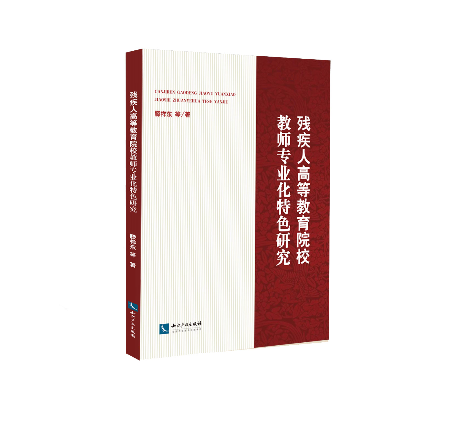 残疾人高等教育院校教师专业化特色研究