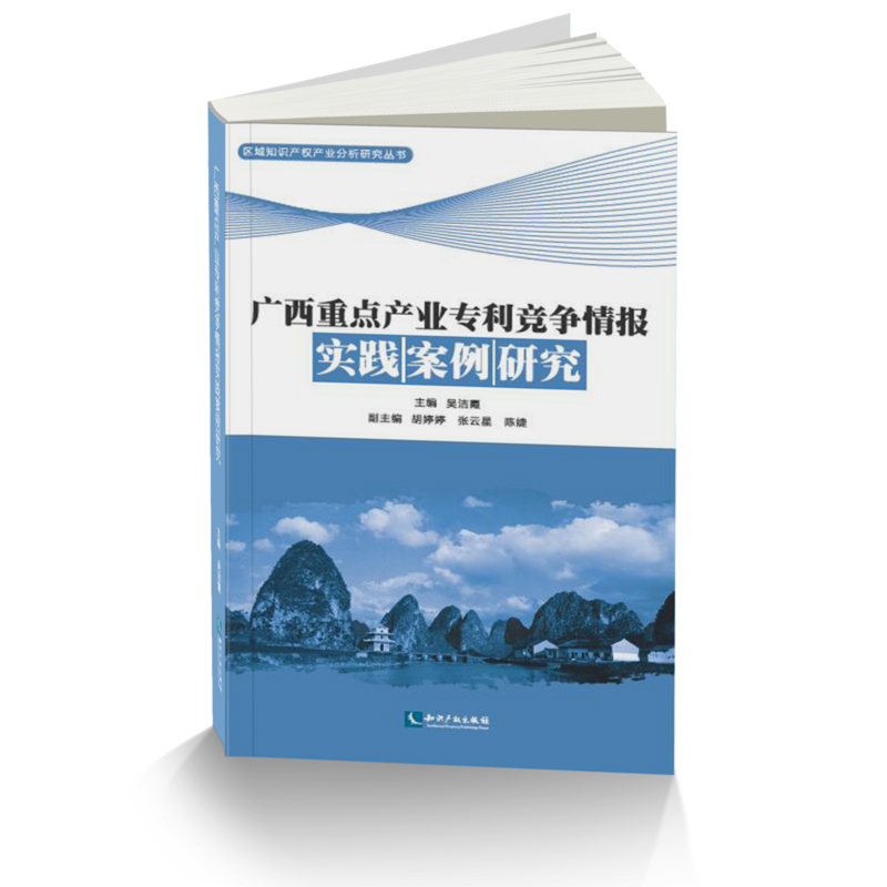 广西重点产业专利竞争情报实践案例研究