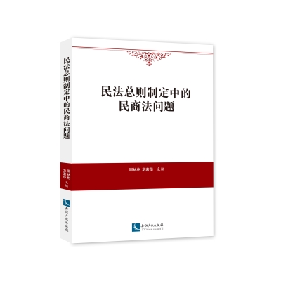 民法总则制定中的民商法问题