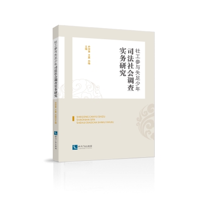 社工参与失足少年司法社会调查实务研究