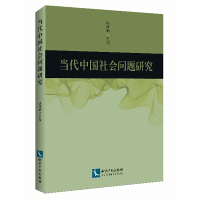 当代中国社会问题研究