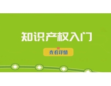 知识产权入门