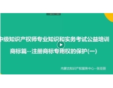 中级知识产权师公益培训第七章：注册商标专用权的保护（一）和（二）